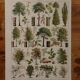 Lithographies originales sur les arbres