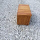 Trunk