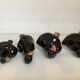 Four little black and golden ducks.
