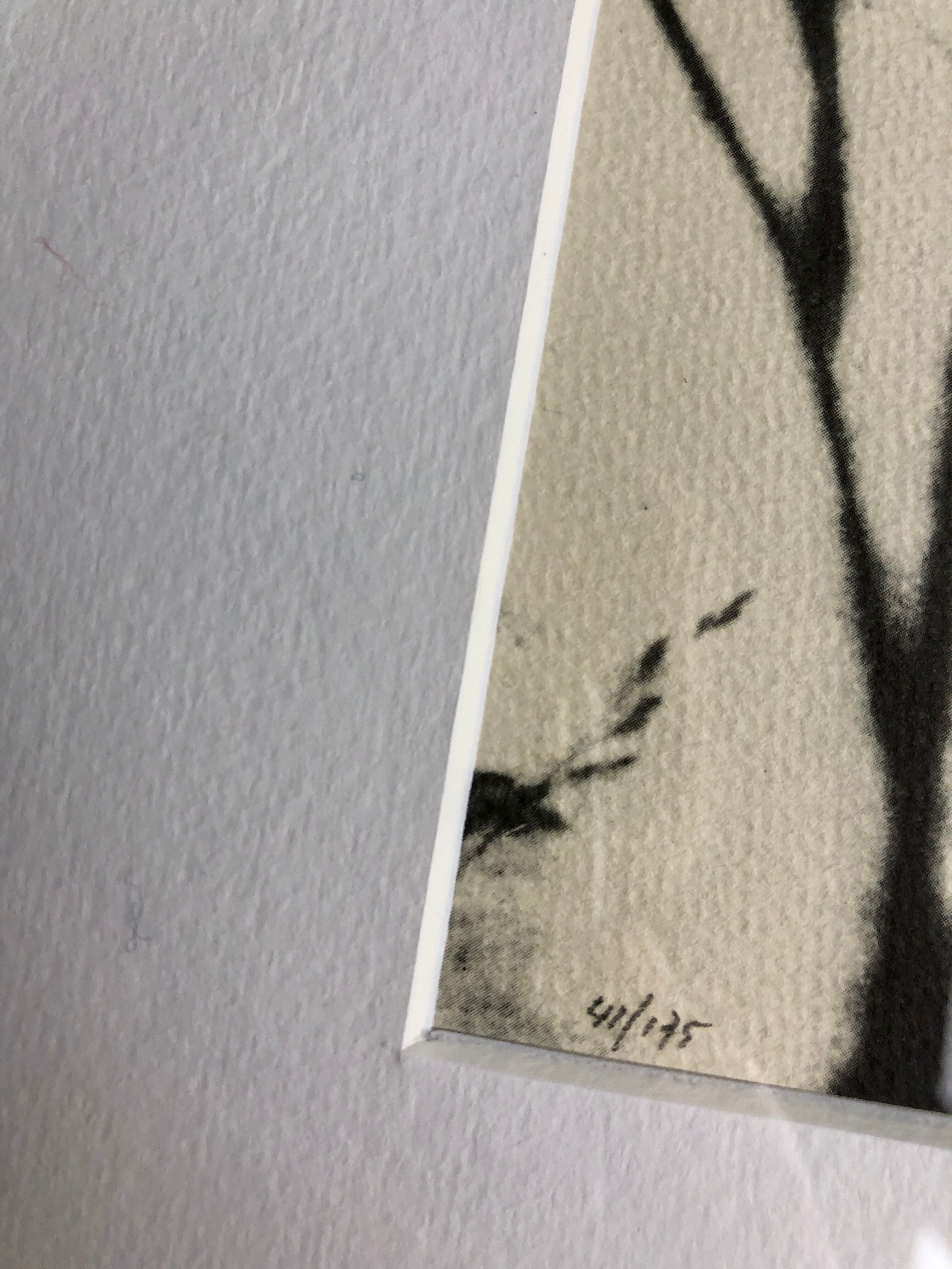 Framed lithograph - extract from the notebook "Les Natugraphies" - Albert de Visscher