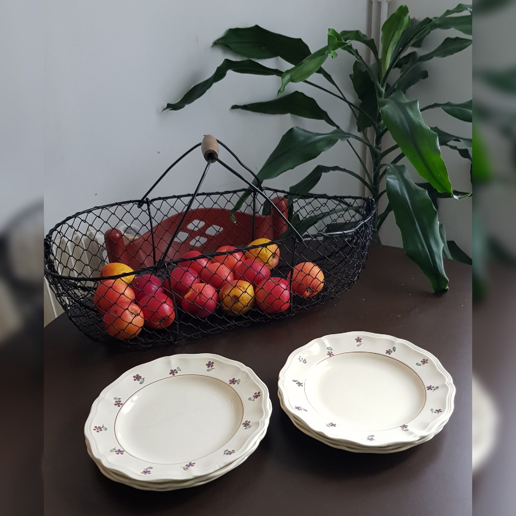 Set of 6 flat plates Digoin Sarreguemines