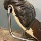 Fauteuil Tucroma, Guid Faleschini, I 4 Mariani