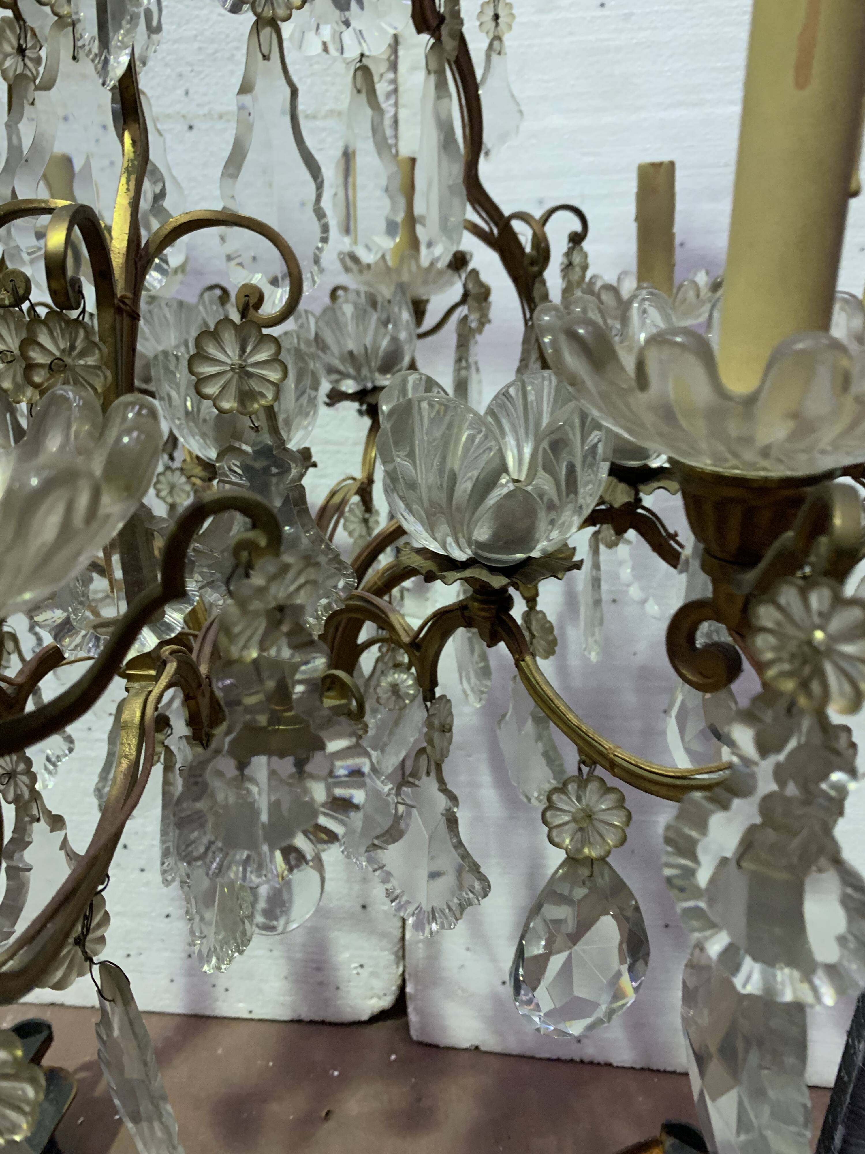 Chandelier cage with sixteen lights grapevines and crystal cups xix century