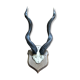 Trophée de chasse massacre d'antilope Kudu