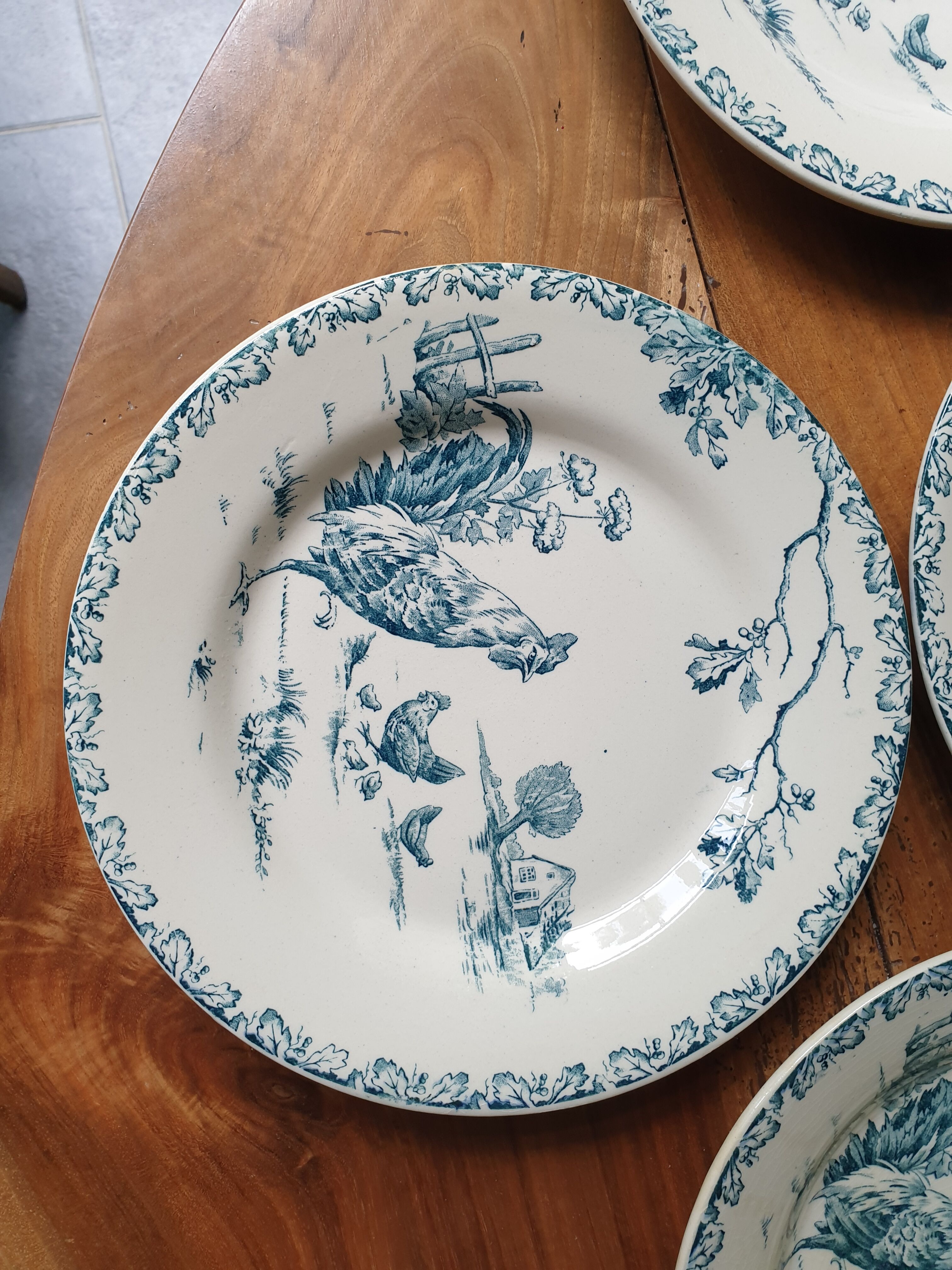 6 plates Gien Terre de Fer series "rooster"