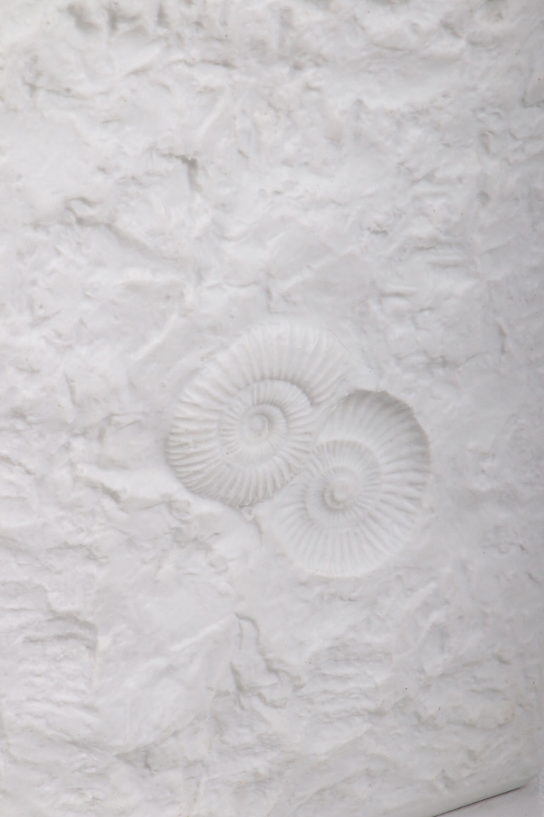 Large AK Kaiser porcelain vase with a white shell fossil pattern