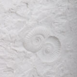 Large AK Kaiser porcelain vase with a white shell fossil pattern