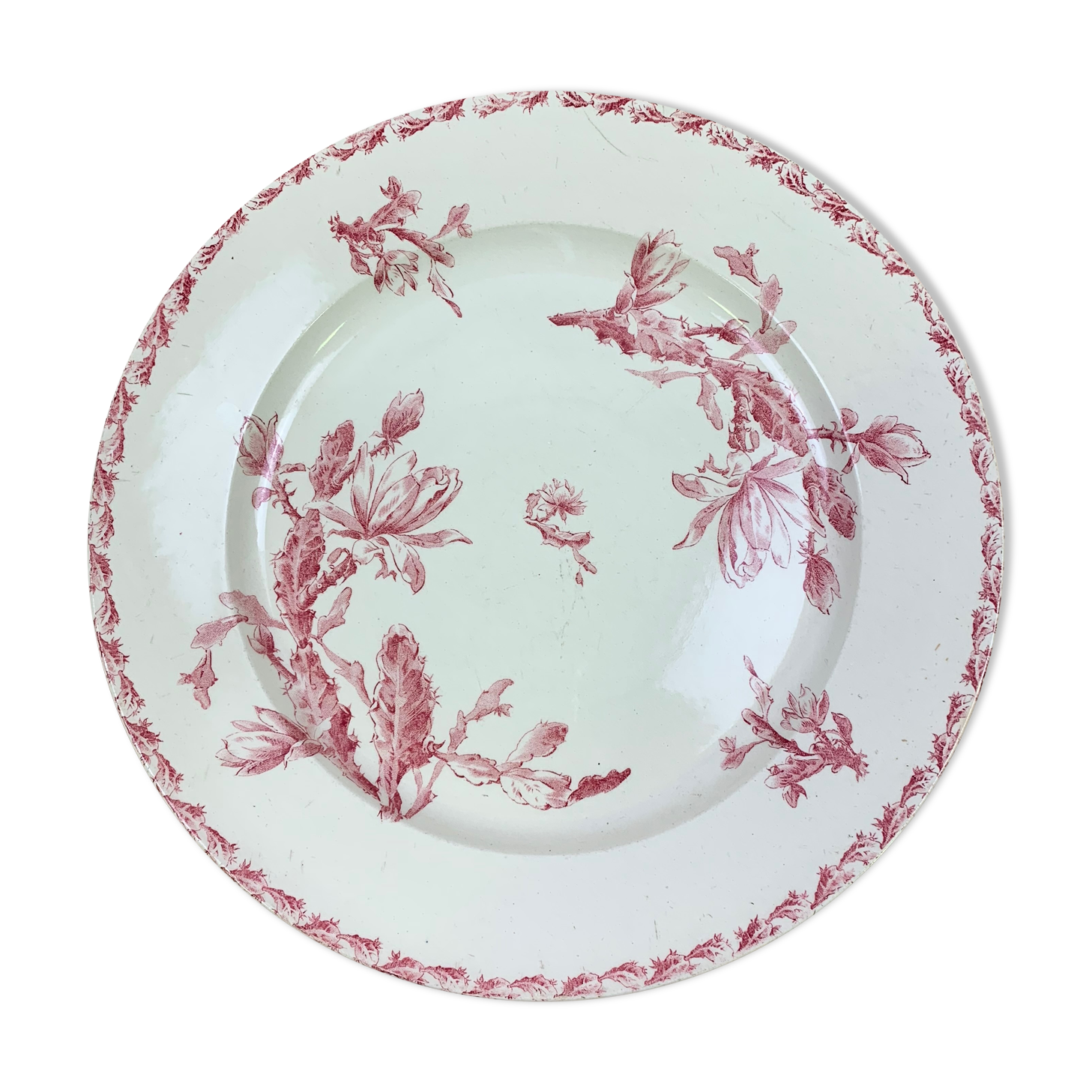 Dish porcelain Gien model Cactus