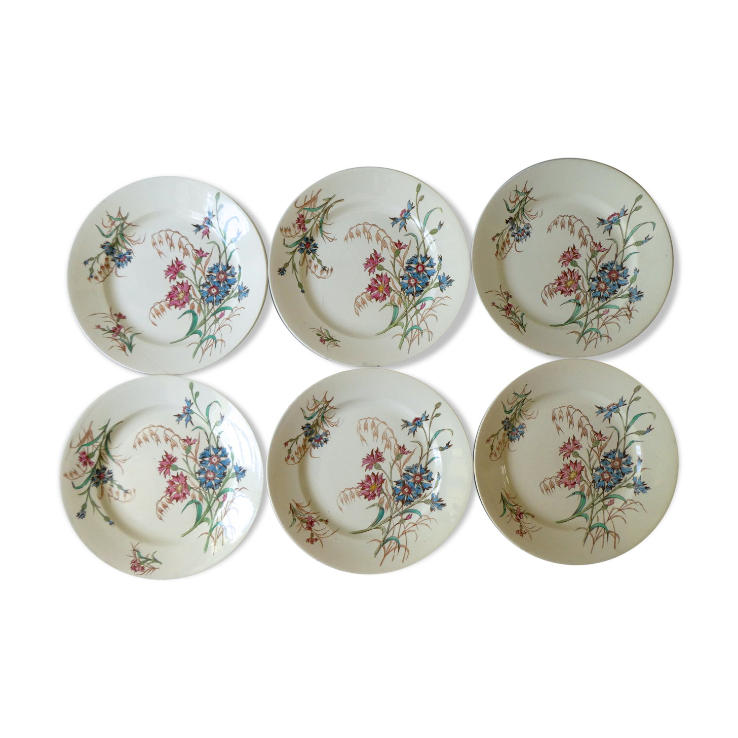 Set of 6 plates Blueberry decor Luneville France, 1900