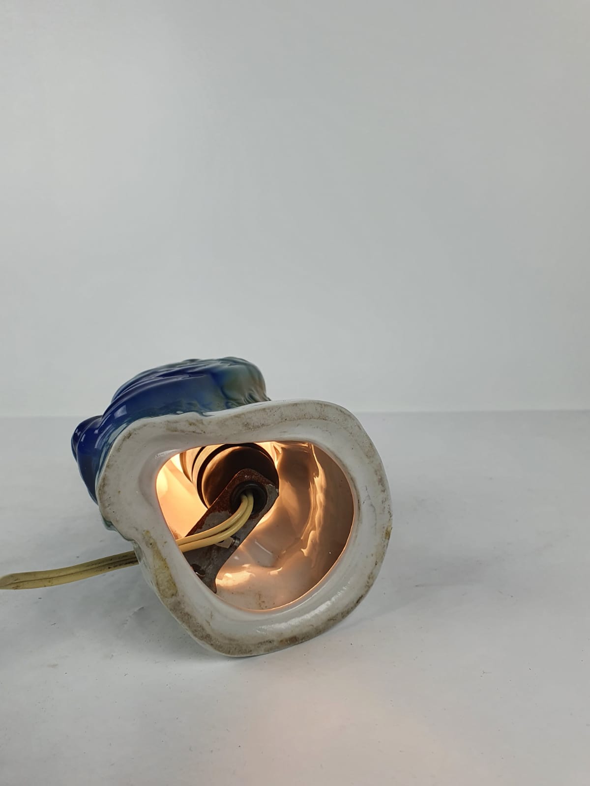 Night light parrot, twentieth century