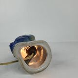 Night light parrot, twentieth century