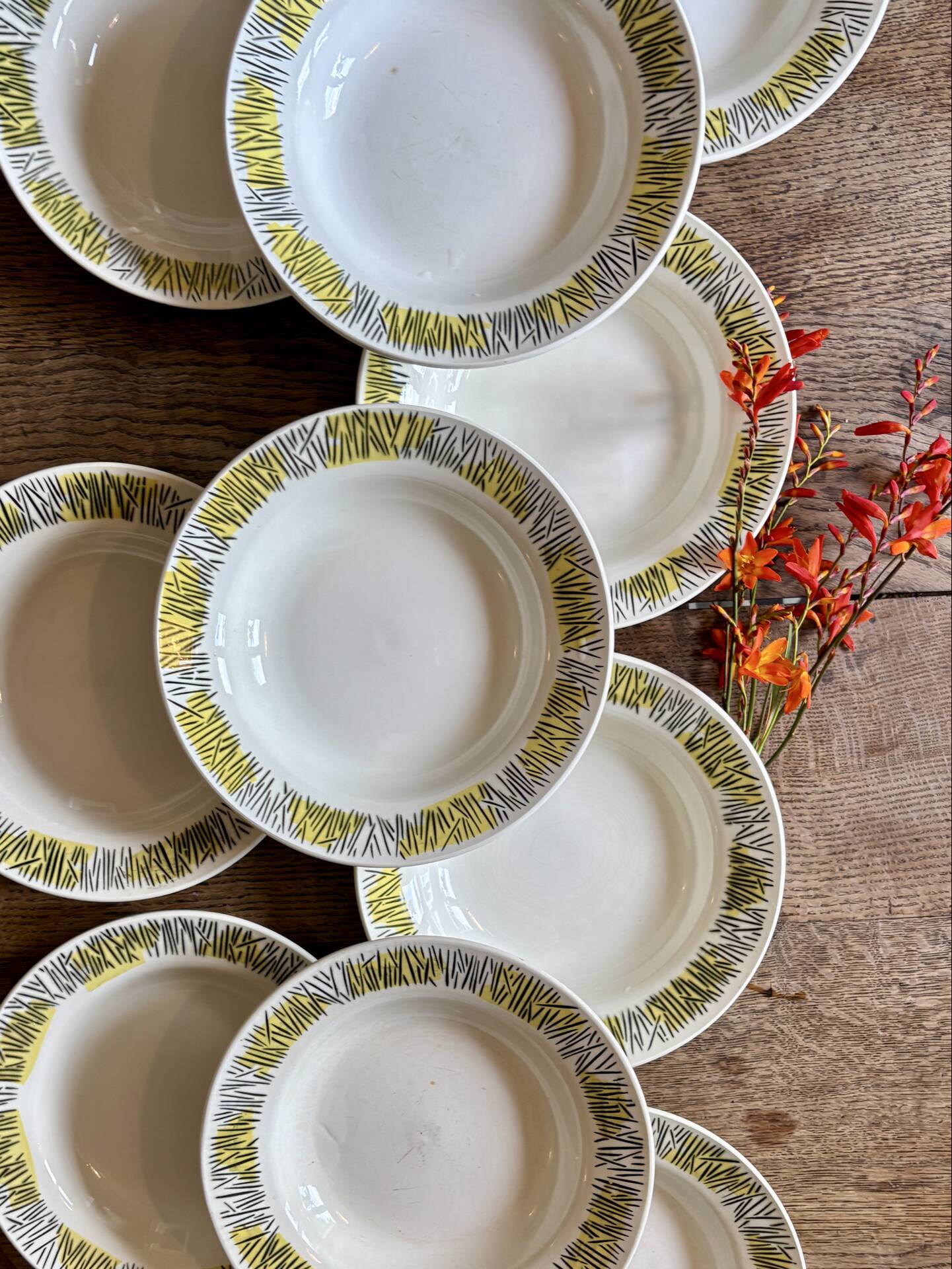 Set of 10 vintage deep plates, Monico models by Digoin/Sarregue.