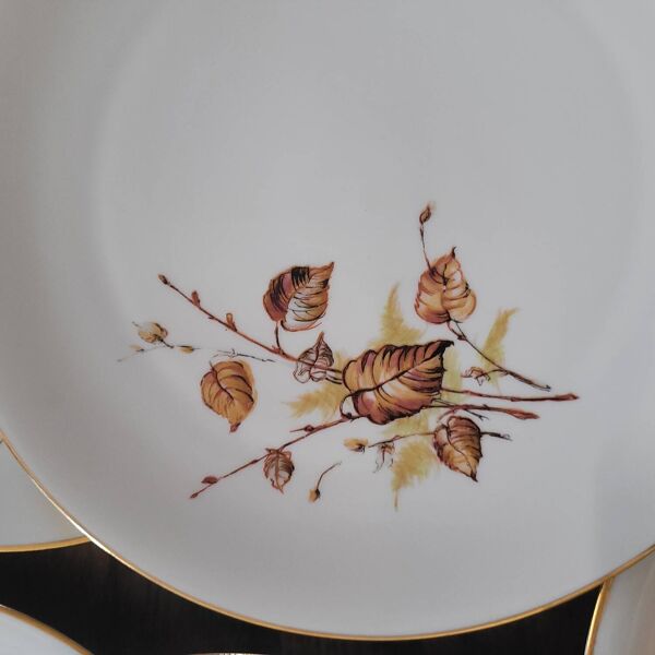 Assiettes à dessert & Plat Porcelaine Royal Émail de Vierzon