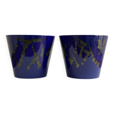 Ensemble de 2 jardinières / pots de fleurs en céramique bleue d'Allemagne de l'Ouest.