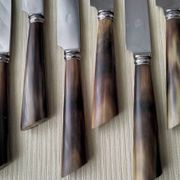 Box of 12 table knives with horn handles, silver-plated metal and stainless steel.