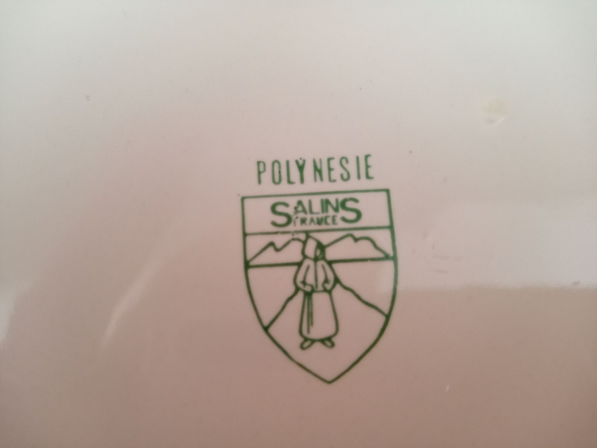 Round hollow dish in Salins earthenware, France, 2nd Polynesia model
