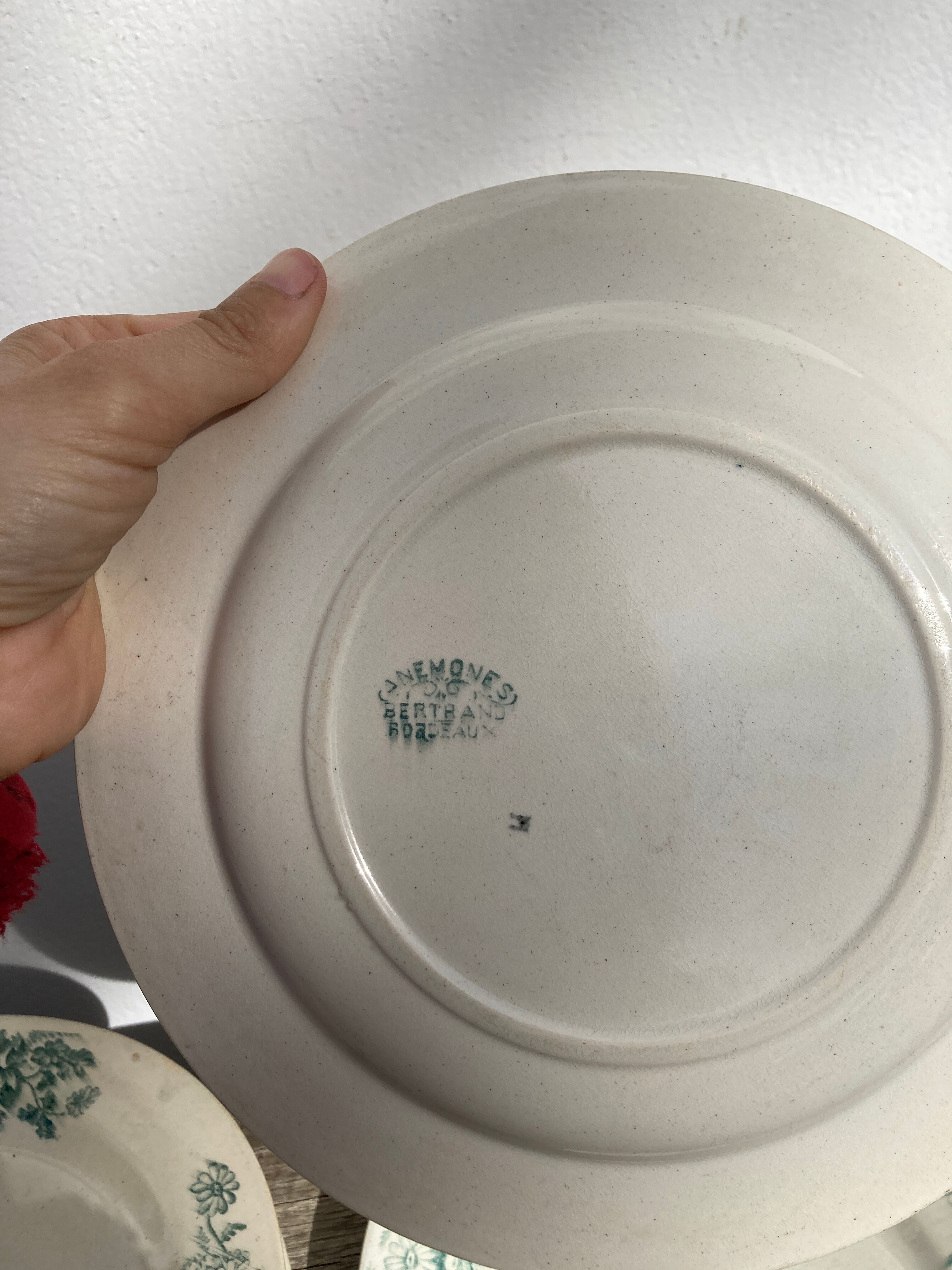 8 Terre de fer plates Anémones Bertrand Bordeaux old in green ceramic decorated with flowers