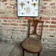 Old entomological insect frame 13 species
