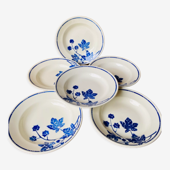Ensemble de 6 assiettes creuses anciennes Badonvilliers motif fleur bleu
