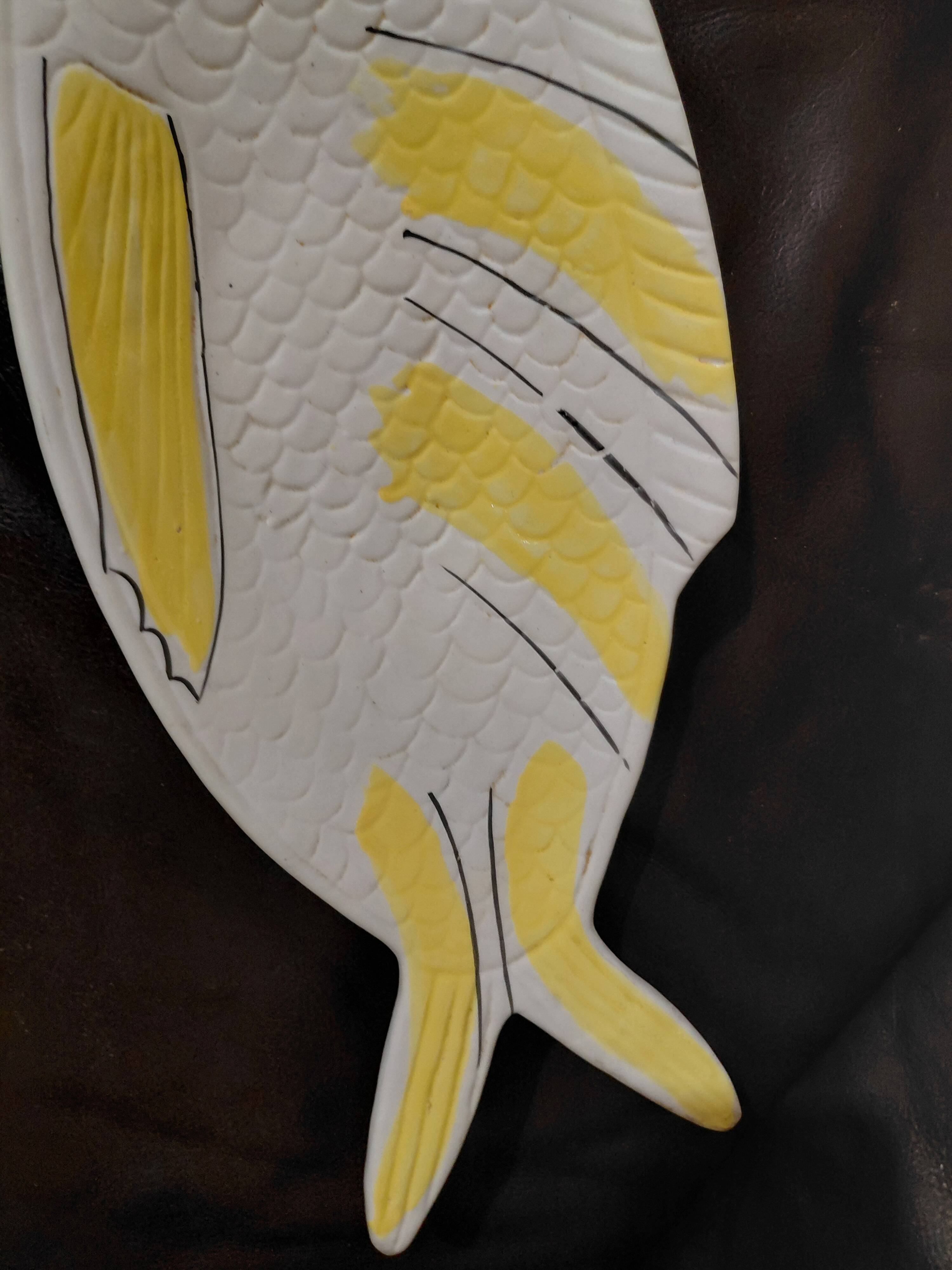 Dish for serving fish