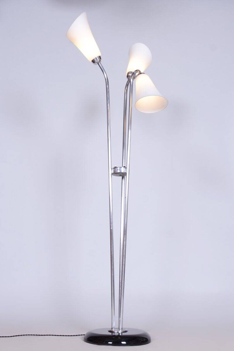 Czech Art Deco Floor Lamp in Chrome, Opal Glass and Lacquered Wood, 1930s