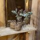 Antique gilded wood mirror