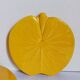 Three vintage water lily presentation dishes in slip