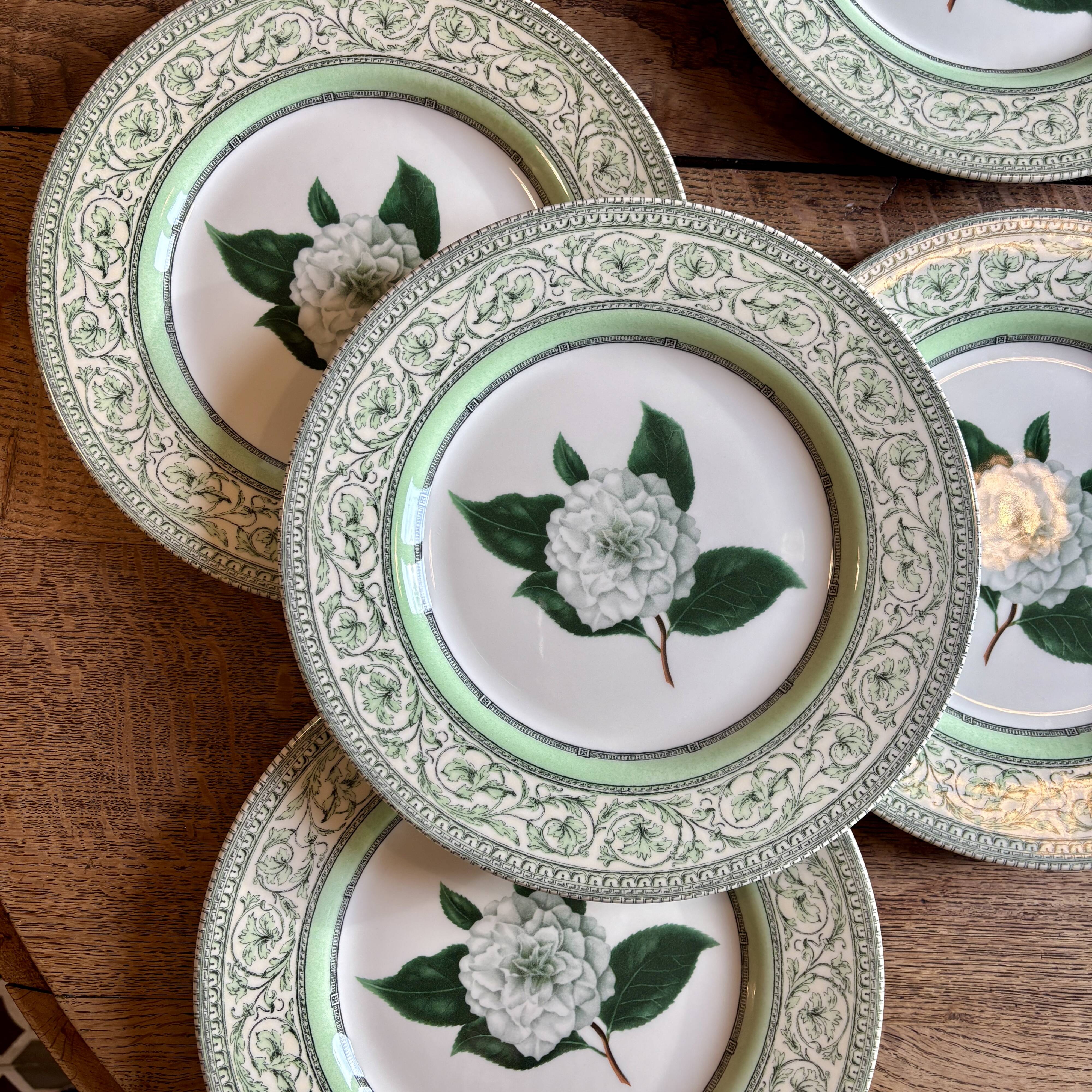 Lot de 8 assiettes plates Camélia - en porcelaine Anglaise