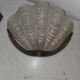 Pair of shell wall lights Art Deco 1930