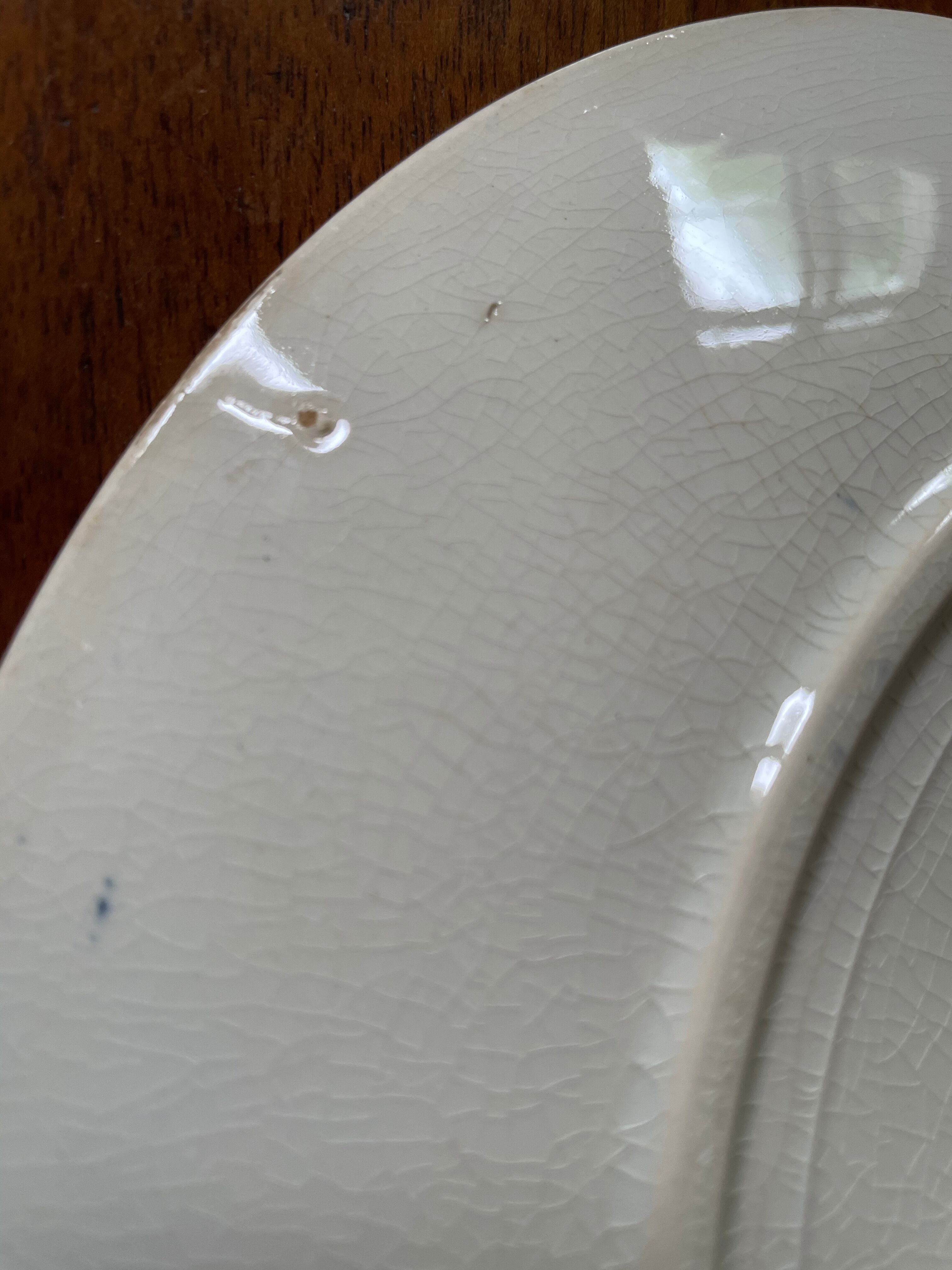 Flat plates Sarreguemines Iron Earth model Blue favorite