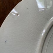 Flat plates Sarreguemines Iron Earth model Blue favorite