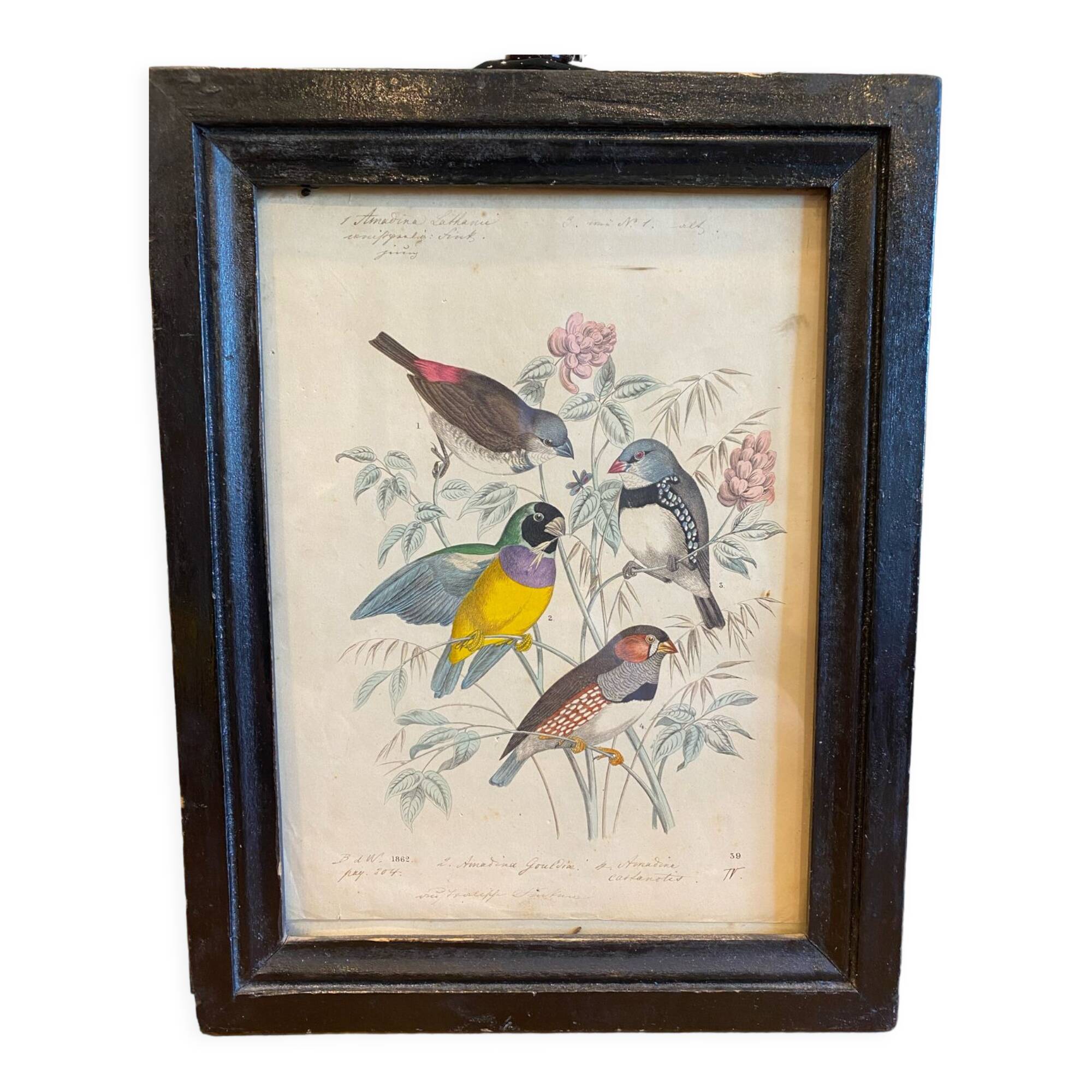 Set of decorative frames