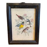 Set of decorative frames