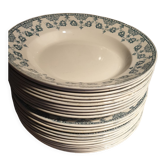 Set of 12 flat plates and 10 hollow plates in iron earth