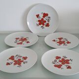Set of 5 flat plates - Arzberg earthenware factory 1960/70