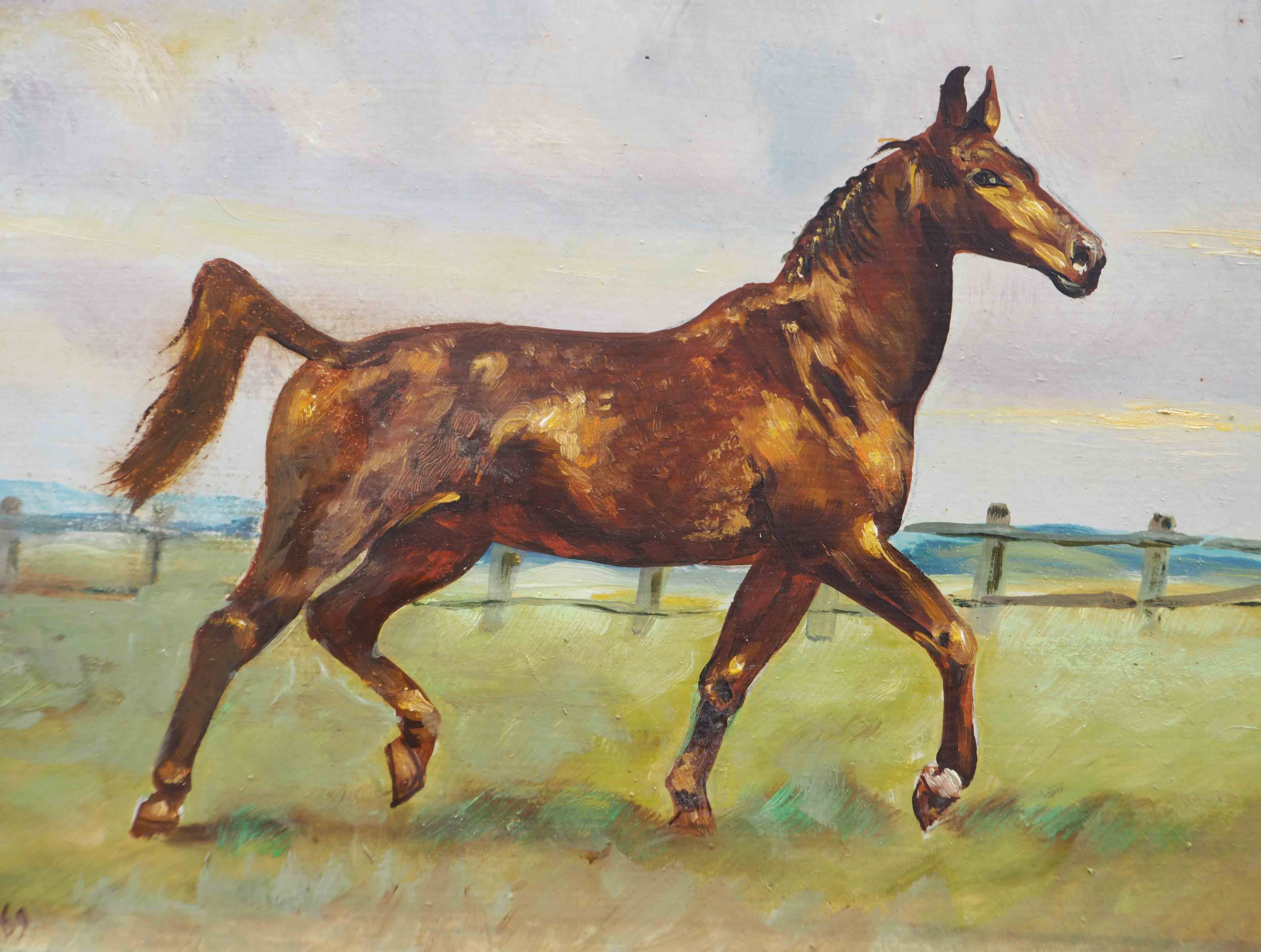 Riding painting: Horse on the trot HSP signed (to be deciphered) - 1969