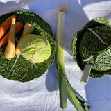 Cabbage tureen slip