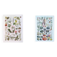 Set of two posters on vegetables and plants