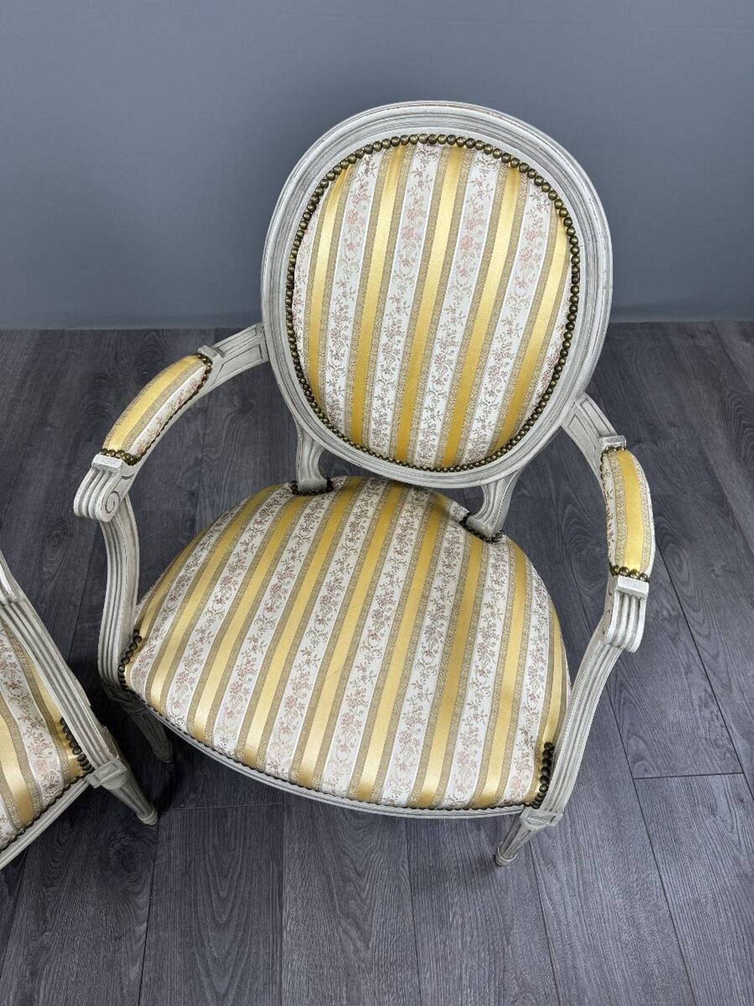 Pair of Medallion Armchairs in Louis XVI Style with Footrests, 20th Century