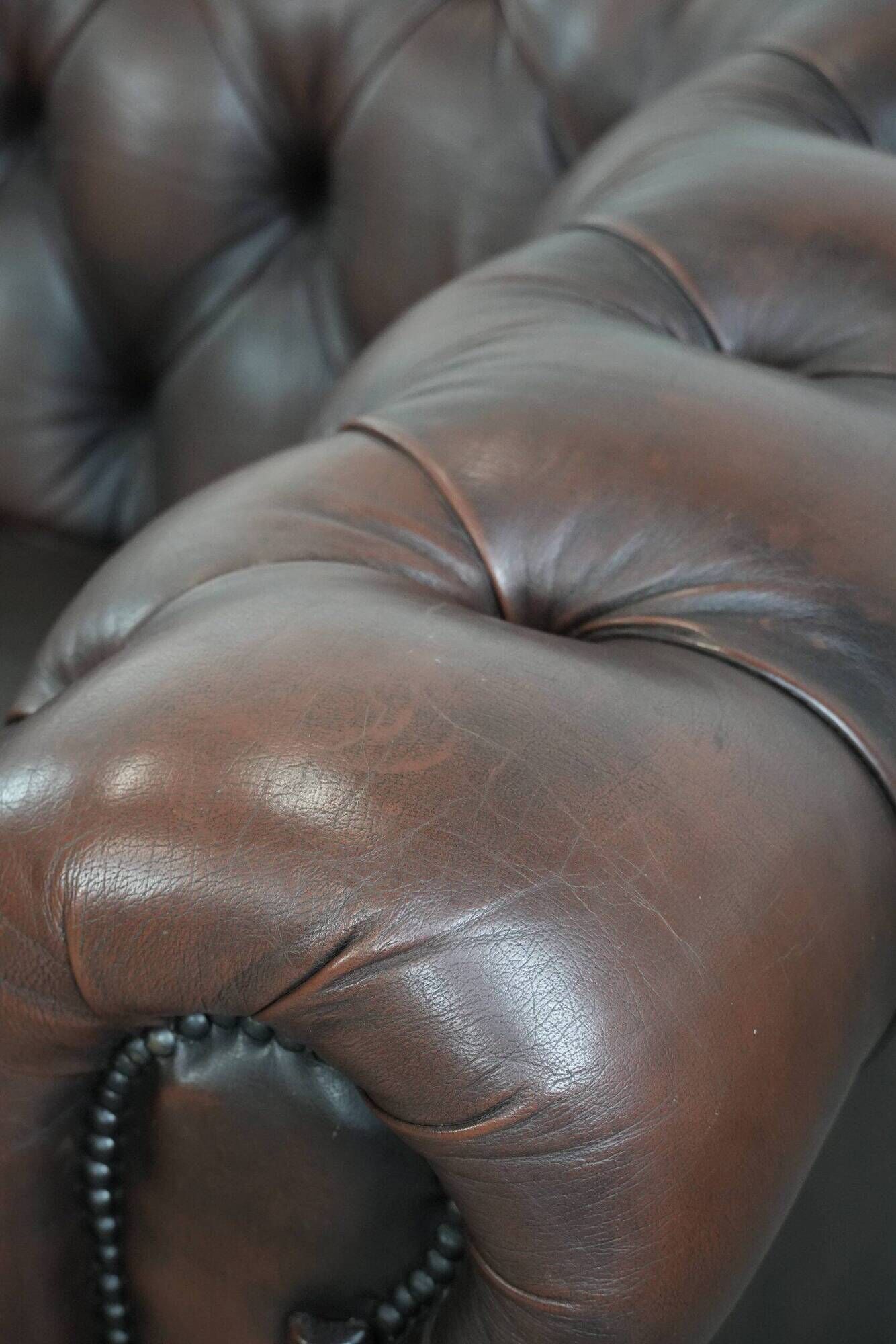 Dark brown cow leather vintage 2-seater Chesterfield sofa in English style