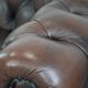 Dark brown cow leather vintage 2-seater Chesterfield sofa in English style