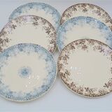 X 6 dessert plates