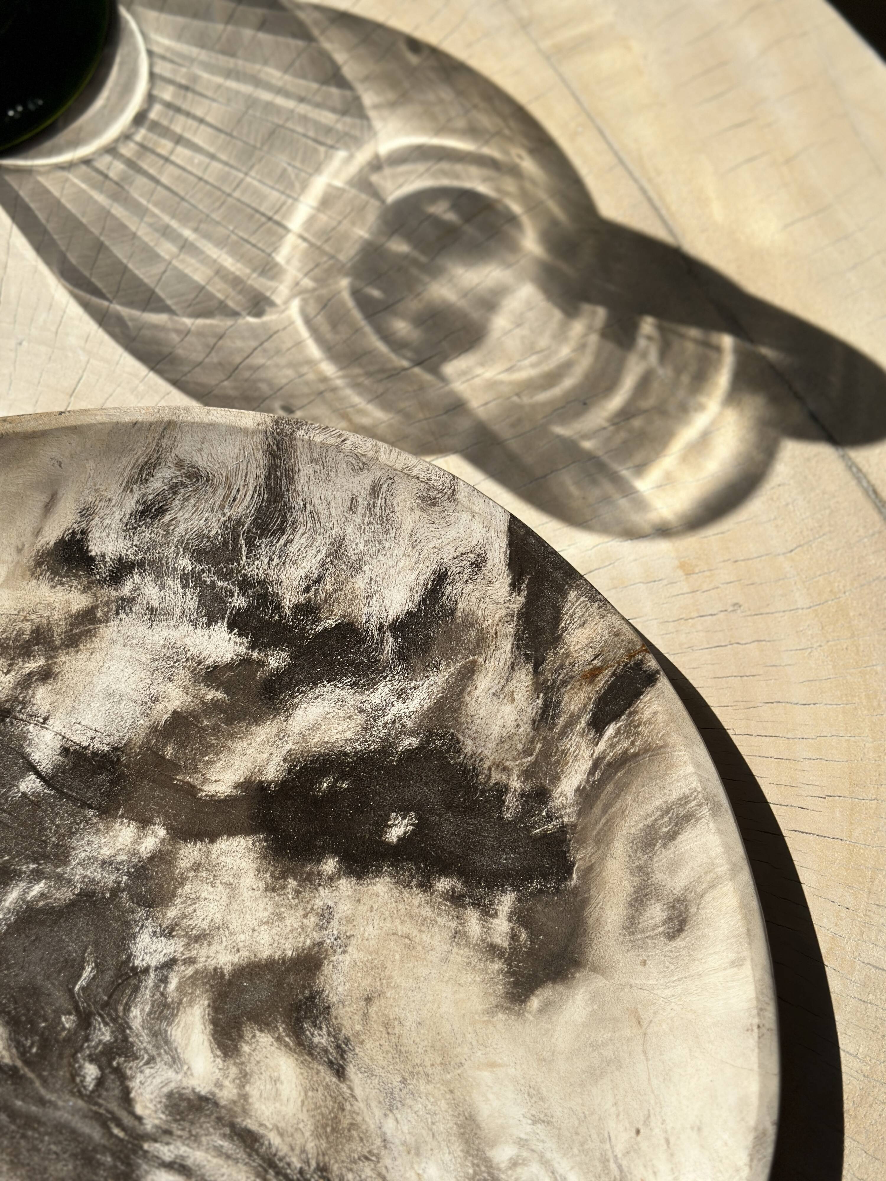 Very large empty pocket or dish in petrified wood