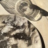 Very large empty pocket or dish in petrified wood