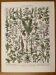 Lithographie sur les plantes médicinales (absinthe) - 1930