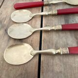 Six ice cream spoons in brass and bakelite
