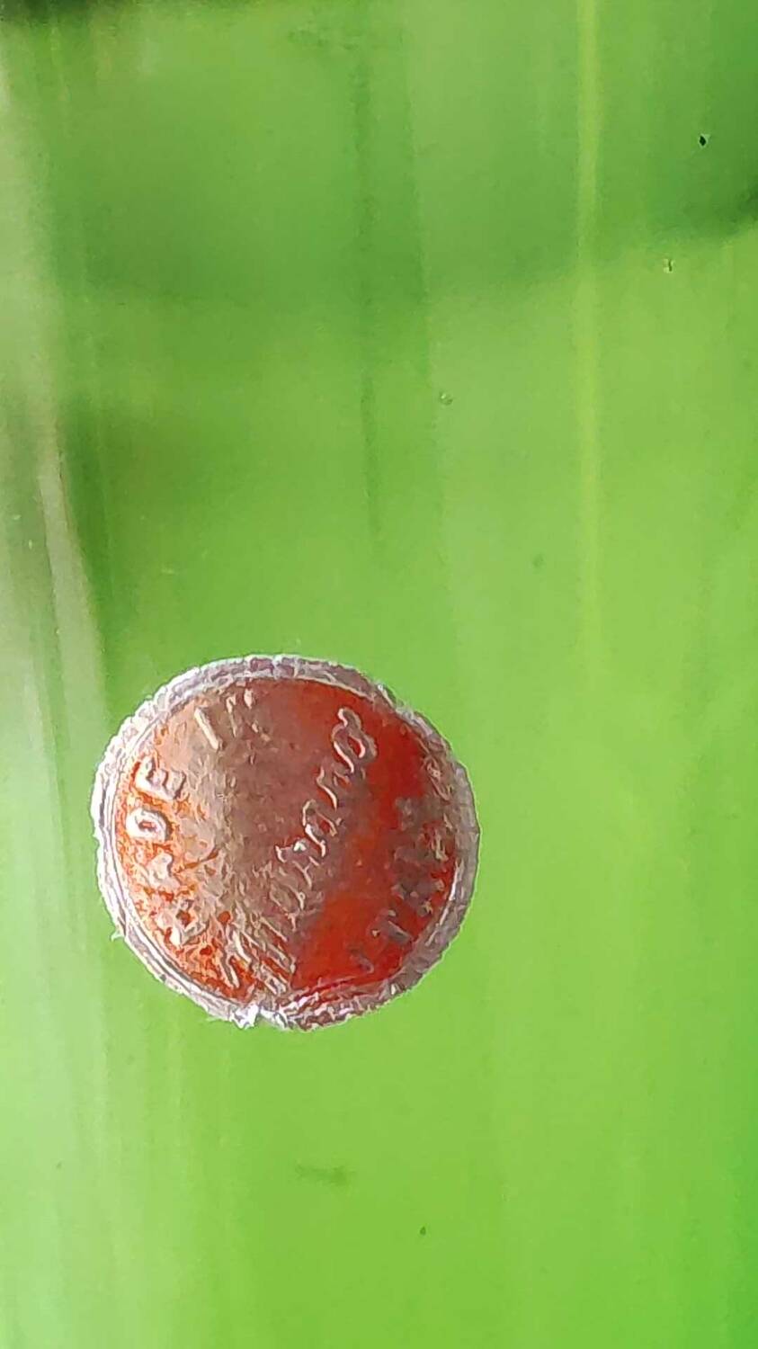 Murano/Flavio Poli vase. Blown art glass, green/amber tones. Organic floral shape. Height 28 cm