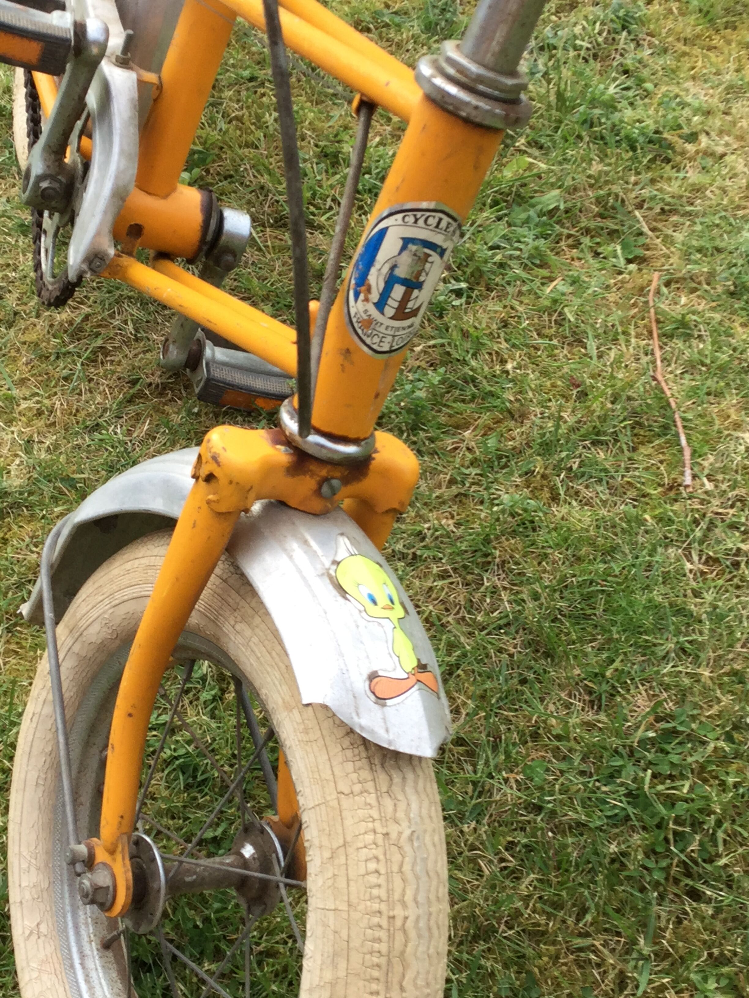 Child bike France Loire