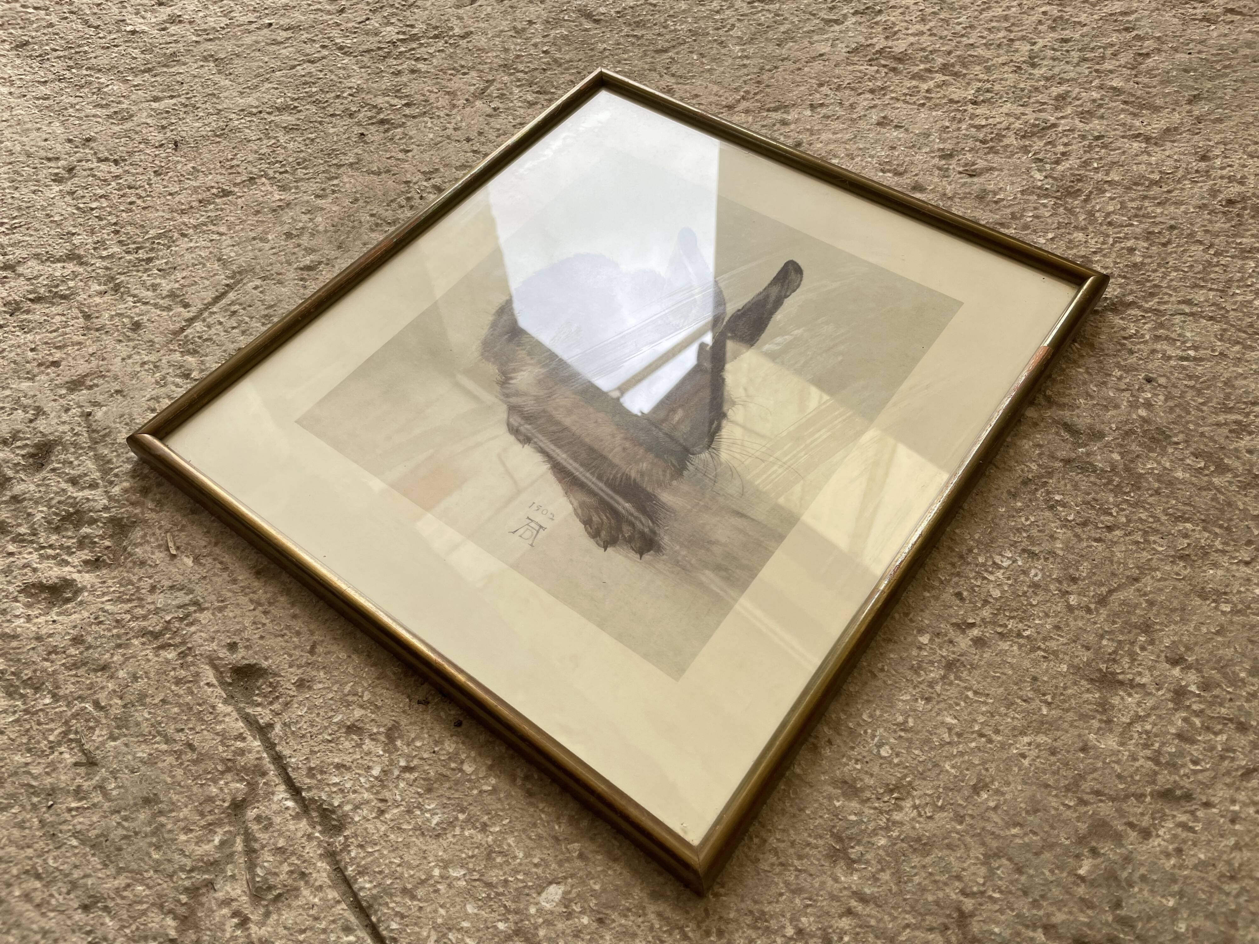 Dürer's hare illustration