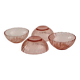Lot de 4 coupelles roseline ARCOPAL